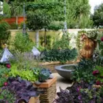 This fabulous range can be grown anywhere, Very easy to grow, whether you have a garden the size of a tennis court or a teacup, a formal potager or allotment,