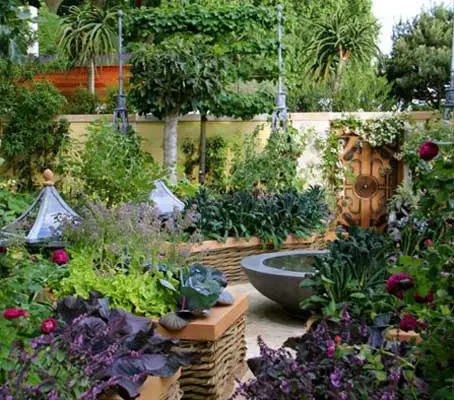 This fabulous range can be grown anywhere, Very easy to grow, whether you have a garden the size of a tennis court or a teacup, a formal potager or allotment,
