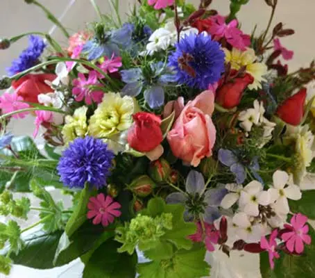 Growing to a height of around 60 to 70cm (24 to 28in), the Tall Cut Flowers, Annual Mix produces large quantities of flowers for cutting.