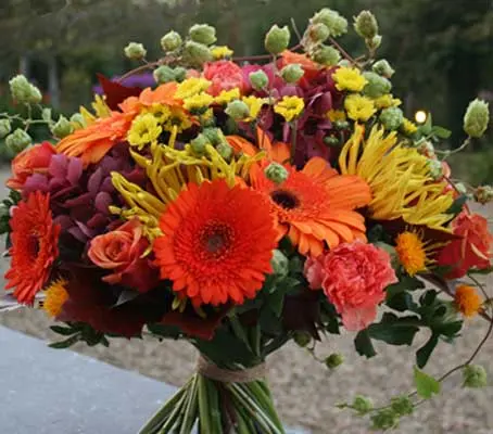 The Semi-Tall Cut Flowers, Annual Mix is a richly flowering mixture that produces large quantities of flowers for cutting.