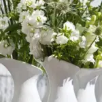 Growing to an average height of 70cm (28in), it is ideal for beds and borders and for cut flowers.