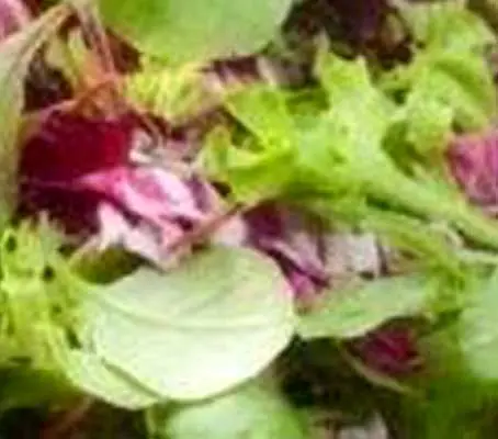 The Californian salad mix is comprised of a dynamic array of niche varieties.