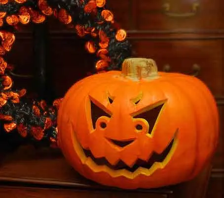 A long established favourite, especially bred for carving out Jack O Lanterns for Halloween.