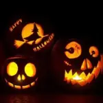 Jack O' Lantern pumpkin tastes good in soups, muffins, casseroles, pies, and many other dishes.