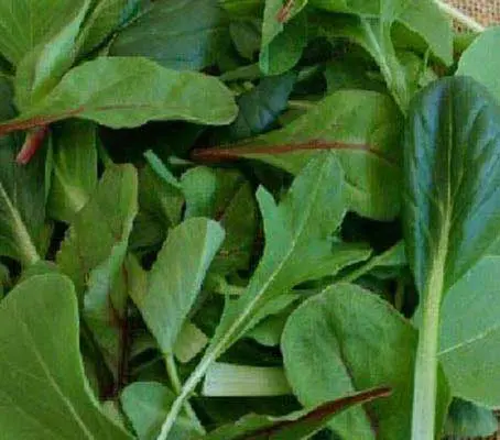 The vivacious colours along with its well loved taste, makes the 'Oriental Mix' wonderfully enticing.