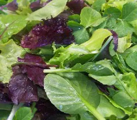 The Tuscan mix is a combination of classic Italian leaves that will enhance presentation and flavours of any dish.