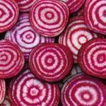 It has a rosy or orange-pink outer skin, with a distinctive dartboard pattern when cut.