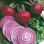 It is also sold under a range of other names, including Bullseye, Tonda di Chioggia, Chioggia Pink or Dolce di Chioggia.