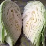 The white hearts are crisp and sweet, excellent eaten fresh in salads or cooked.