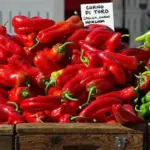 The name of this Italian heirloom translates as ‘Horn of the Bull’, a tribute to this Sweet Peppers' full, tapered shape.