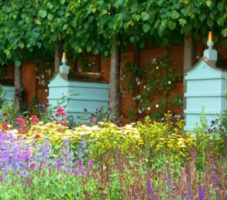 A carefully chosen range of flowers that are rich in both nectar and pollen that both bees and butterflies adore.