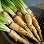 Salsify may be a chic new vegetable with the foodie crowd but it just happens to be an old-fashioned heritage root crop.