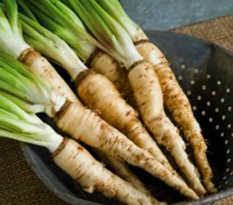 Salsify may be a chic new vegetable with the foodie crowd but it just happens to be an old-fashioned heritage root crop.