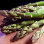 ‘Early Argenteuil‘ is highly esteemed for its thick, rose-purple spears with tender tips and an excellent flavour.