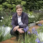 ‘Beaujolais’ appeared on Hugo Bugg’s gold-medal winning rain garden