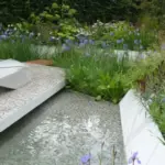 Lysimachia atropurpurea appeared on Hugo Bugg’s gold-medal winning rain garden