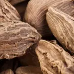 Cardamon, Amomum subulatum-0