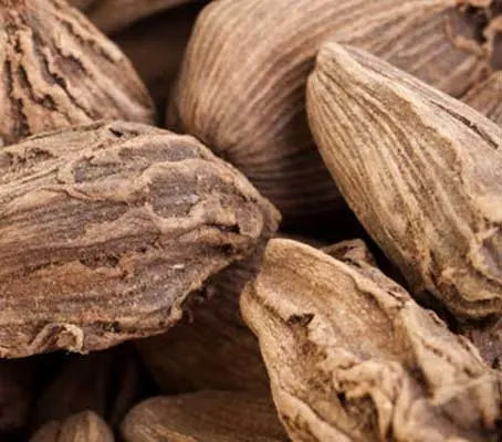 Cardamon, Amomum subulatum-0