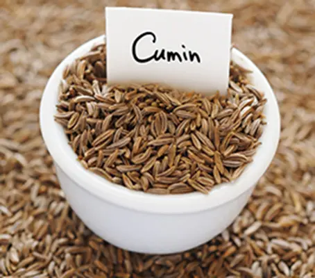 The seeds are oblong and longitudinally ridged, they have a rich aroma and high oil content that helps to add an earthy and warming feeling to recipes.