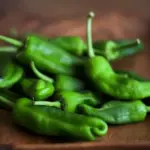 Often served in Tapas bars, Pimientos de Padrón are amazingly tasty, tiny fresh peppers that are a Spanish delicacy.