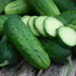 Cucumber, 'Parisian Pickling' is the ideal cucumber for use in pickling and for summer salads.