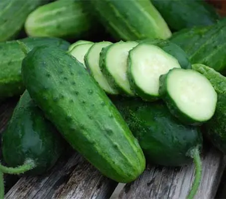Cucumber, 'Parisian Pickling' is the ideal cucumber for use in pickling and for summer salads.