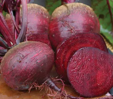 Egyptian Beetroot produces smooth skinned roots, often heart-shaped, with a deep red, tender and flavoursome flesh.