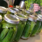 Cucumber, Pickling, 'Parisian Pickling'-17270