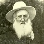 it was the work of a Scotsman, Henry Eckford who secured the future of the sweet pea.