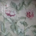 Papaver paeoniflorum 'Antique Shades'-16947