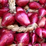 Onion 'Cipolle di Tropea', Sweet Red Onion of Tropea-0