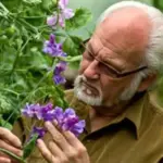 'Moody Blues' combines three of Dr Keith Hammett's most popular varieties.