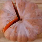 Pumpkin 'Musquée de Provence'-16547