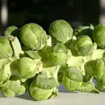 It gives a steady supply of great tasting sprouts through the autumn and into the winter.