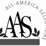 It is also an All America Selections Winner.