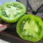 It produces beautiful chartreuse fruits with deep lime-green stripes. Very rich tasting, sweet but with a tangy taste.