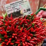 Pepper, Chili Pepper 'Piccante a Mazzetti'-0