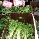 In China it is known as Kintsai or simply as Chinease Celery.
