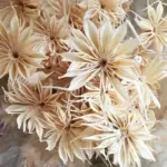 The seed pods can be dried for winter decorations indoors.