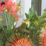 It is a good choice for borders, mass plantings or cut flowers.