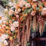 Amaranthus caudatus 'Coral Fountain'-18621
