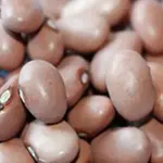 This wonderful heirloom variety has tan coloured seeds.