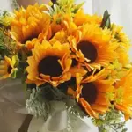 If you like well-branched, very free-flowering Sunflowers, 'Holiday' is the one you've been looking for.