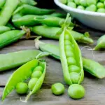 Pea 'Buddy' Organic -18319