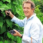 Bean: French Bean 'Blauhilde' Organic-18362