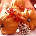 Winter Squash 'Table Gold' is a high sugar Acorn type squash.