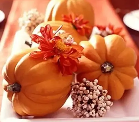 Winter Squash 'Table Gold' is a high sugar Acorn type squash.