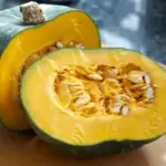 Squash 'Groene Hokkaido', Organic -18439