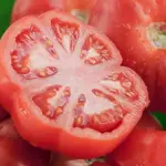 Tomato 'Berner Rose' Organic-18712