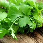 Coriander 'Calypso' boasts to be the slowest bolting variety available.